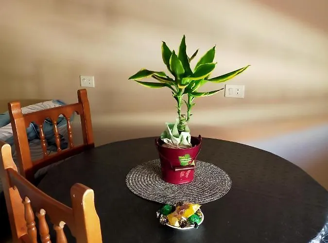 ático Sin Ascensor Casa Portela * Sanxenxo